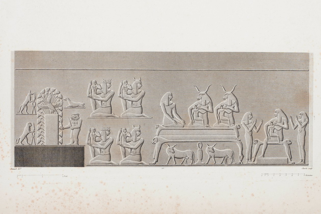 Book: Description of Egypt by Unbekannt