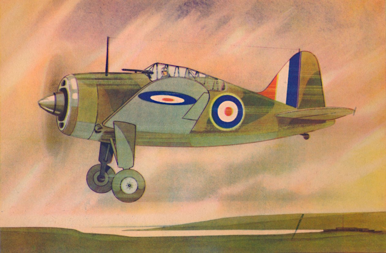 Brewster Buffalo Fighter Monoplane by Unbekannt