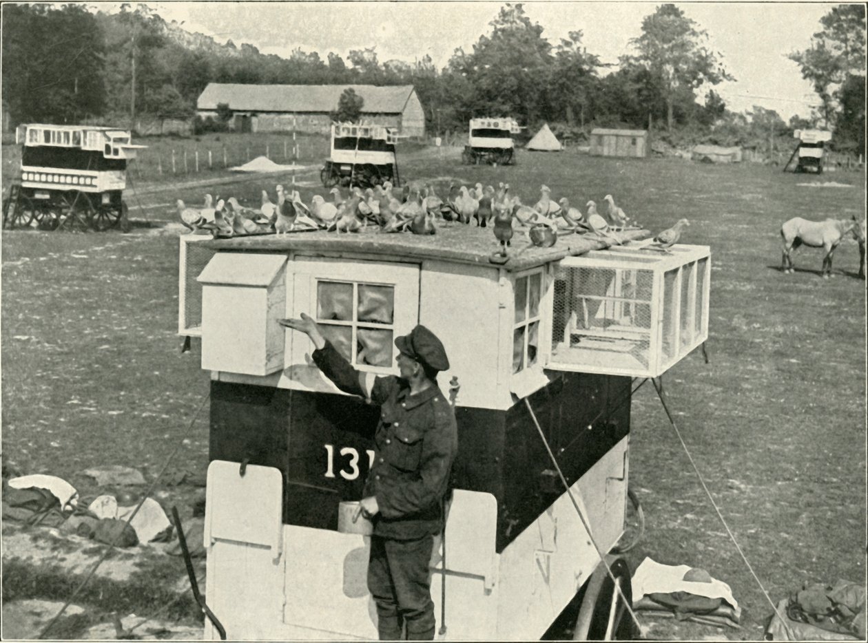 British Army Carrier Pigeons in France: Horse-Drawn Lofts by Unbekannt