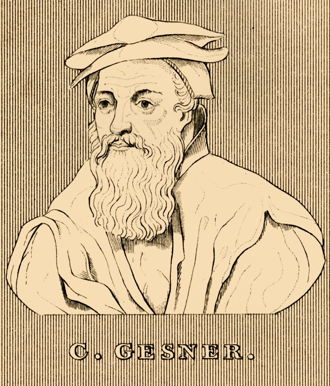 C. Gesner, 1516-1565, 1830 by Unbekannt