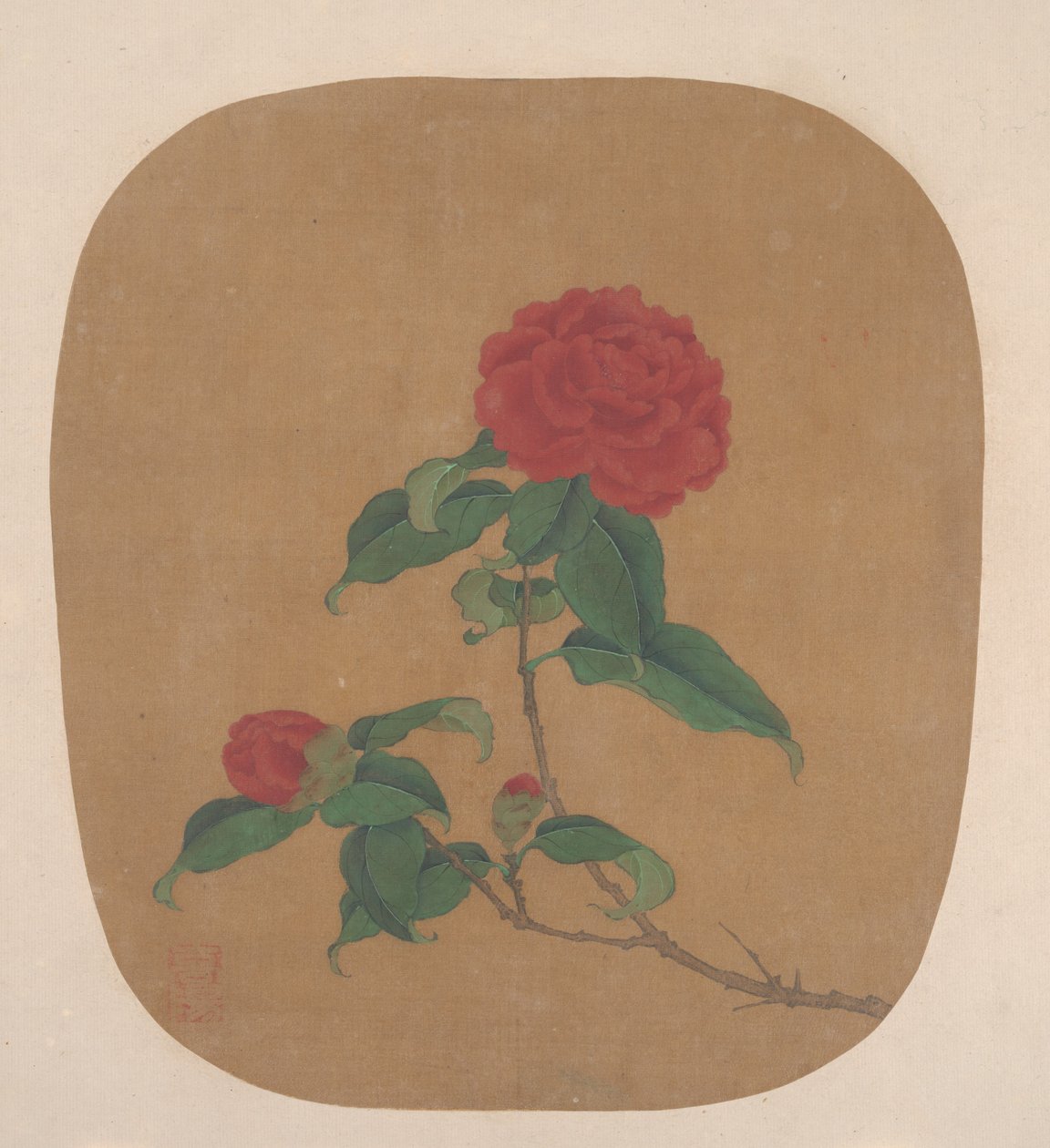 Camellia Flowers by Unbekannt
