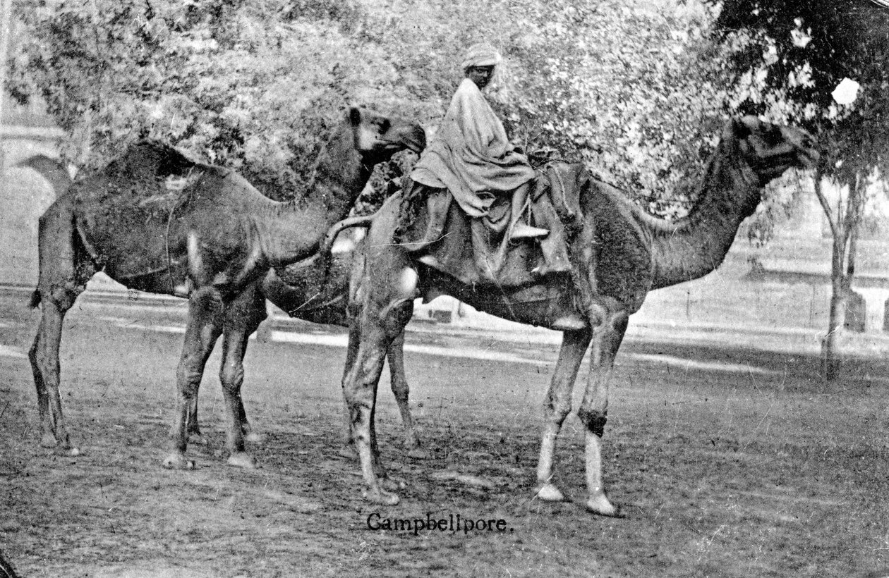 Campbellpore, Pakistan by Unbekannt