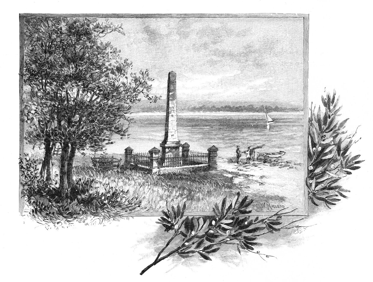 Captain Cook