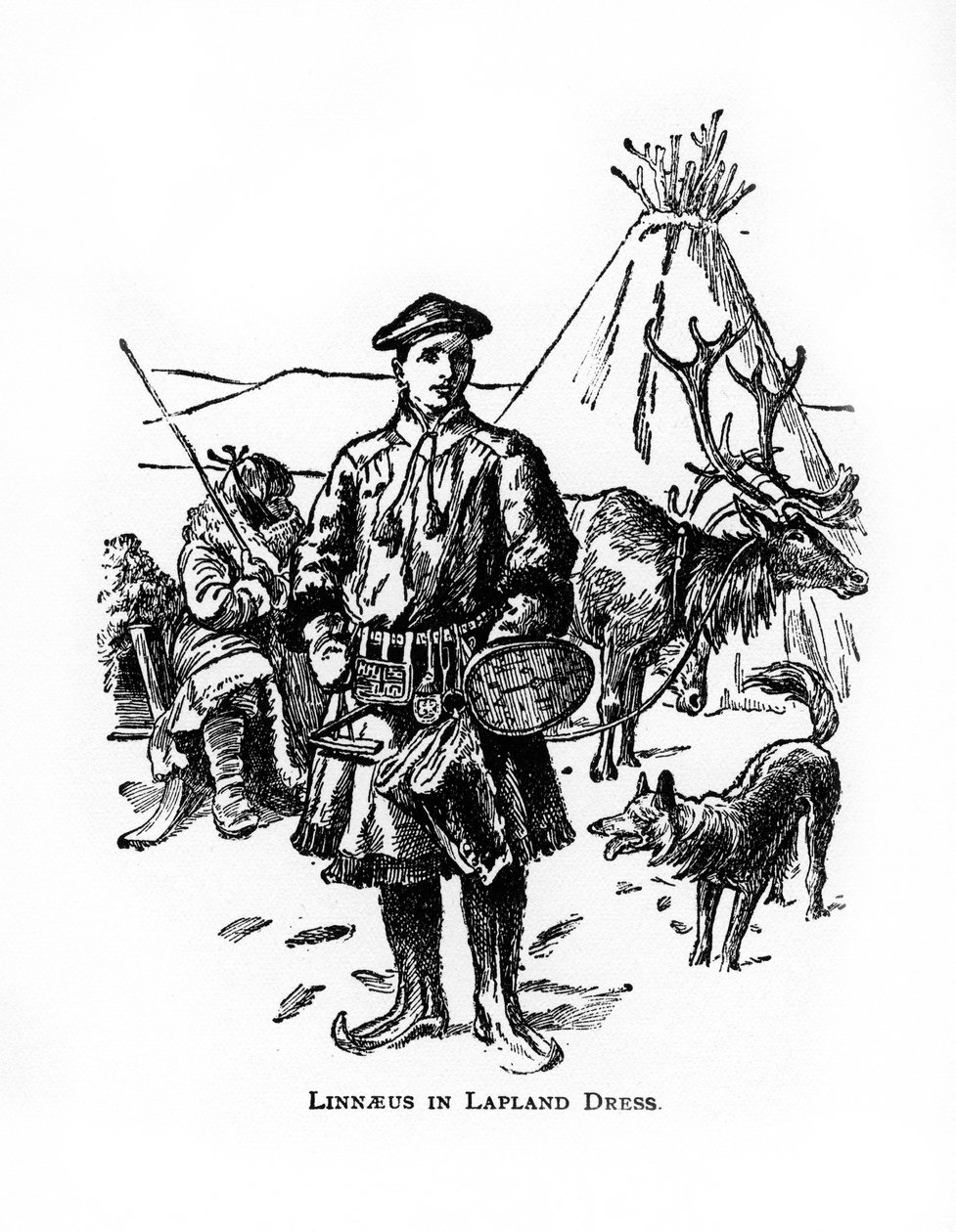 Carolus Linnaeus, 18th Century Swedish Botanist, Physician and Zoologist, 20th Century by Unbekannt
