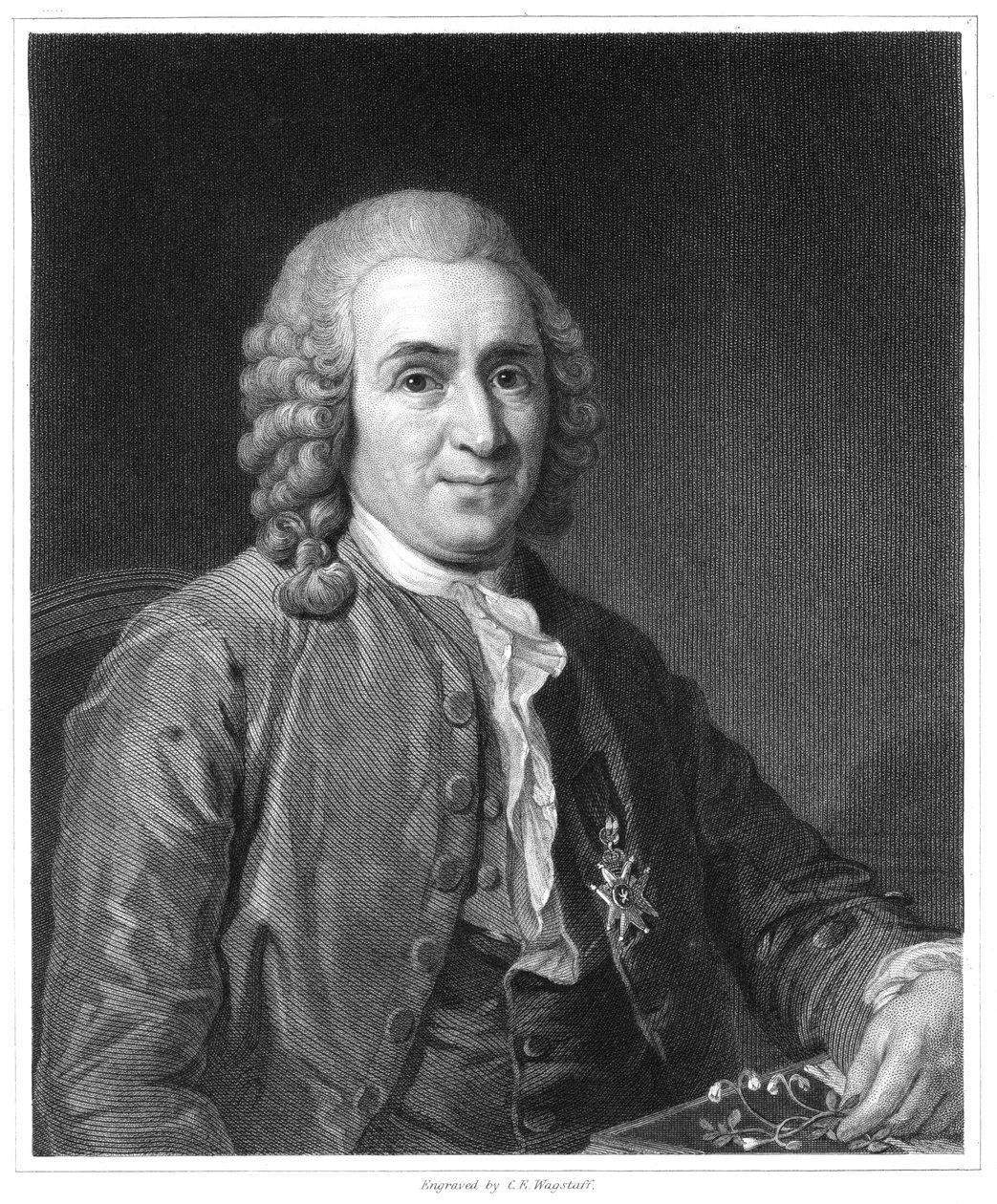 Carolus Linnaeus, 18th century Swedish naturalist, 1835 by Unbekannt