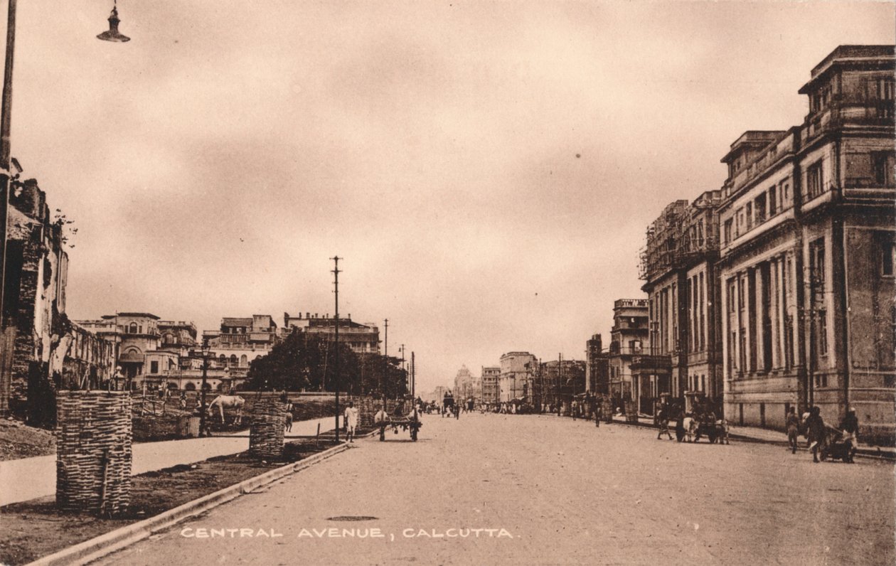 Central Avenue, Calcutta, c1900 by Unbekannt