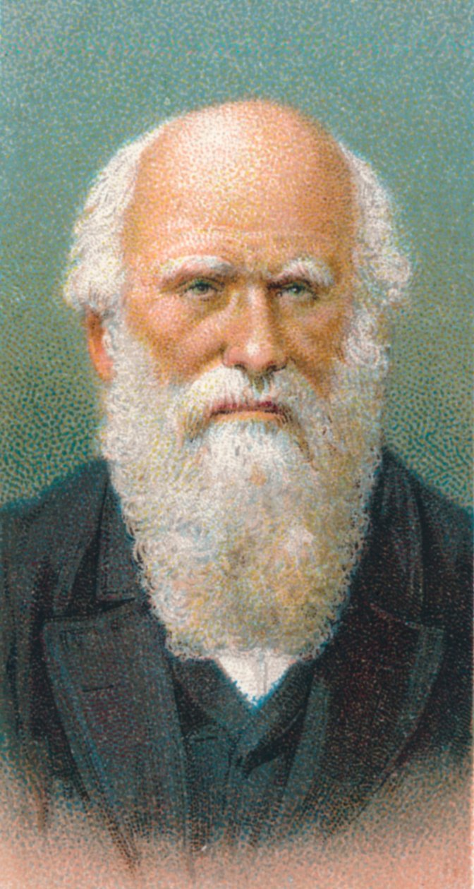 Charles Darwin, British naturalist by Unbekannt