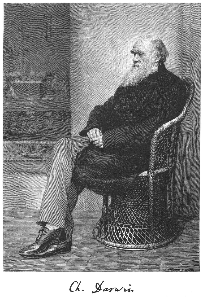 Charles Darwin, English Naturalist by Unbekannt