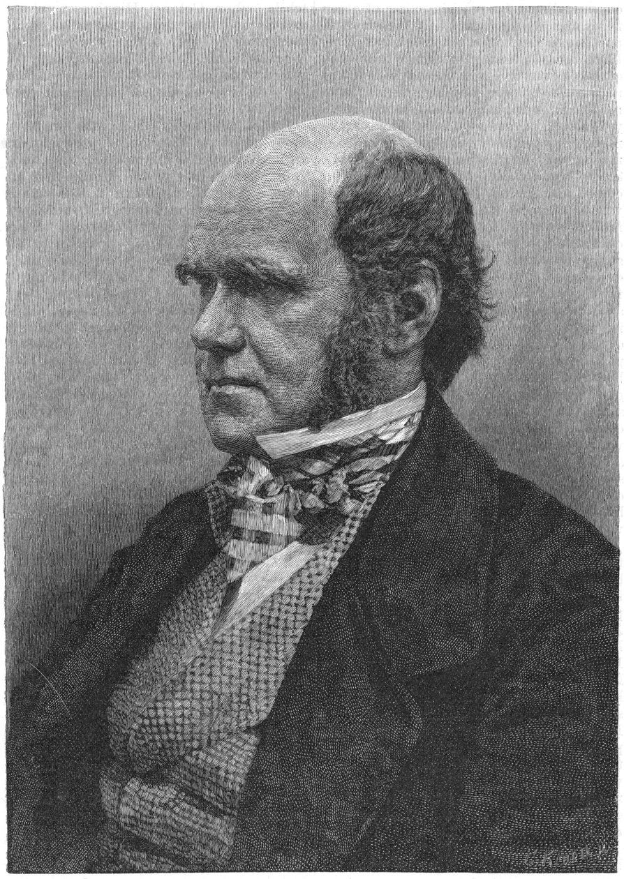 Charles Darwin, English naturalist, 1884 by Unbekannt