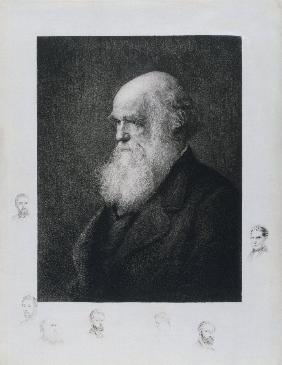 Charles Darwin, English naturalist, c. 1860s by Unbekannt