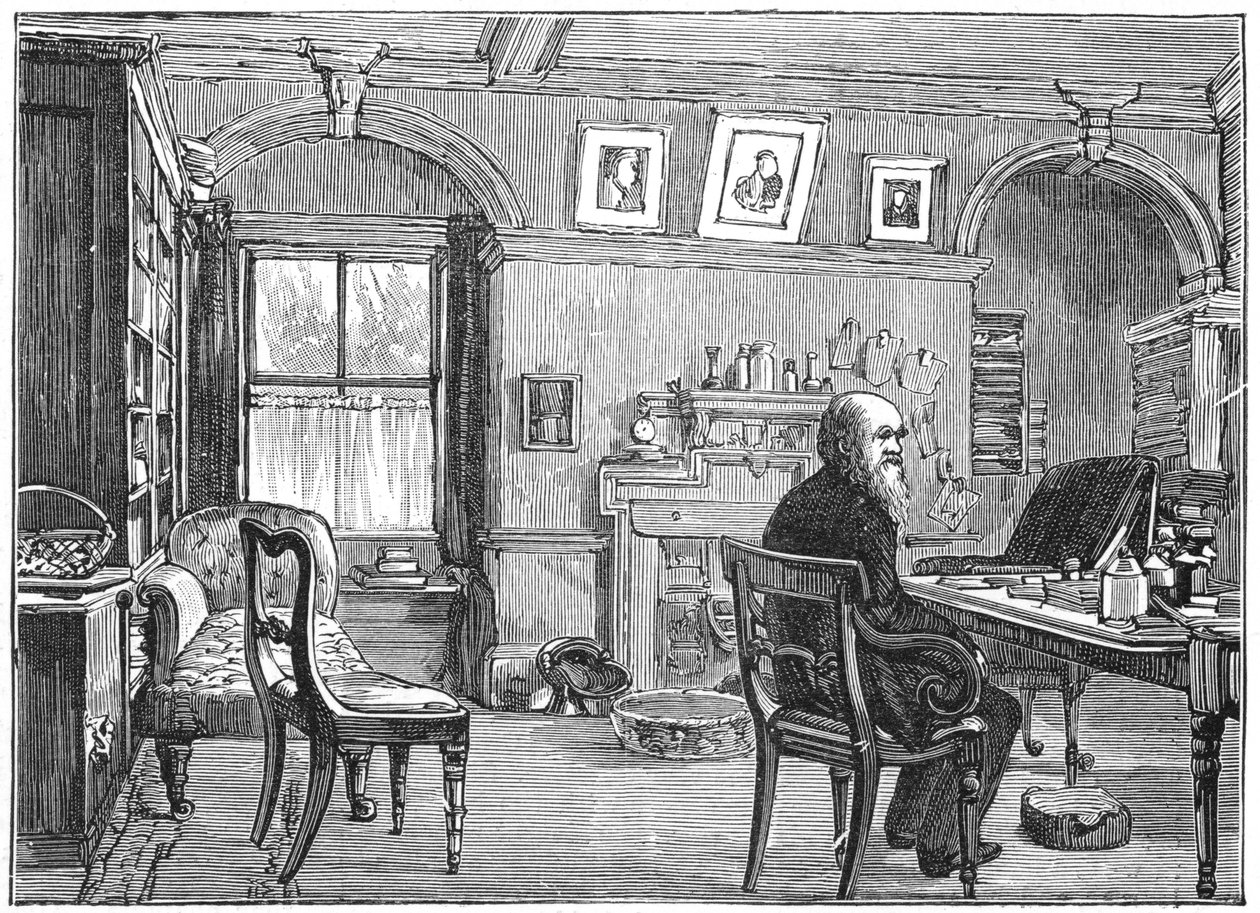 Charles Darwin, English Naturalist, in His Study, c. 1870-1887 by Unbekannt