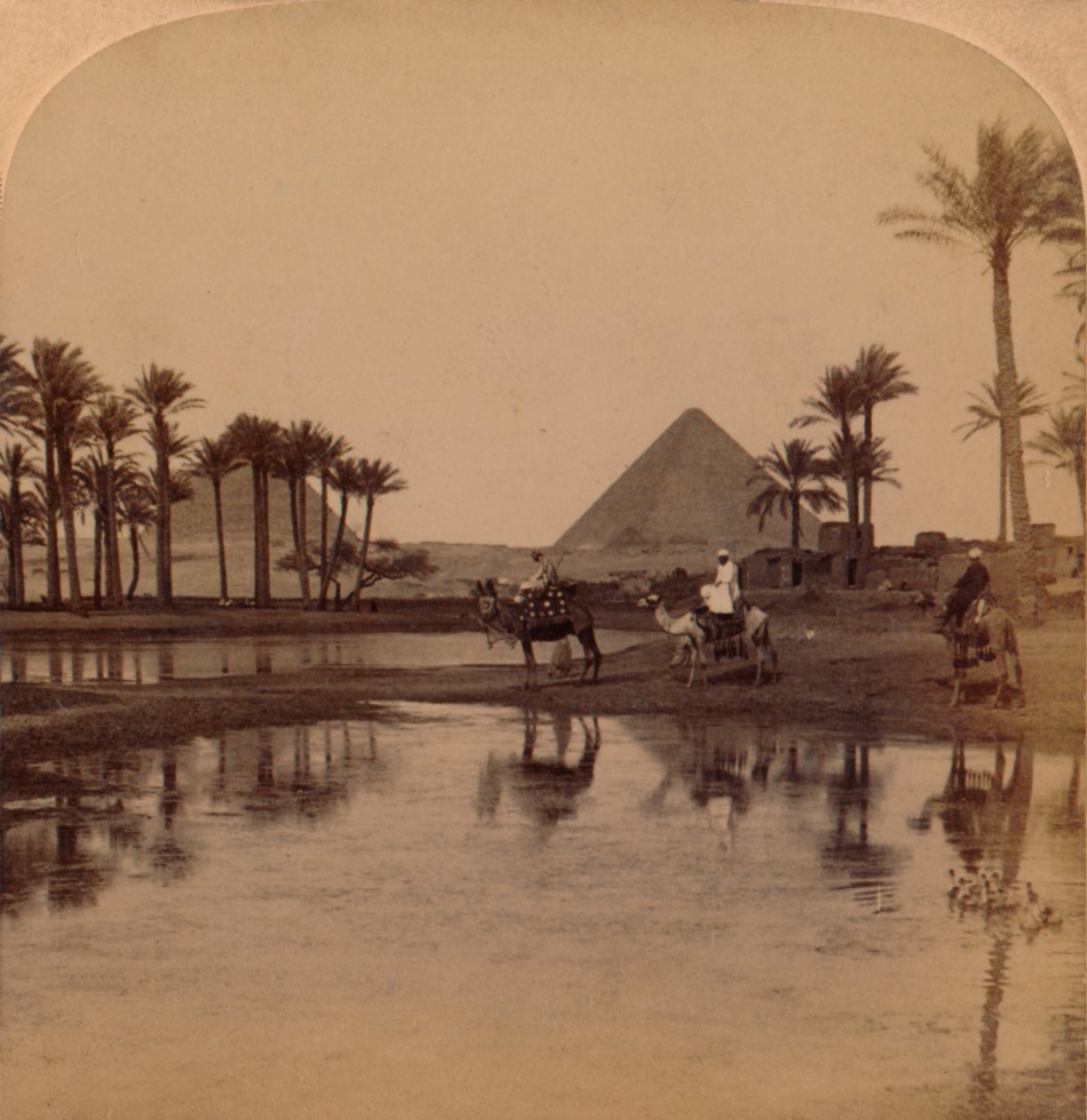 Cheops from the Fertile Valley of the Nile, Egypt by Unbekannt