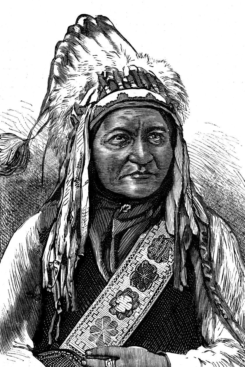 Chief Sitting Bull, American Indian, 19th century by Unbekannt