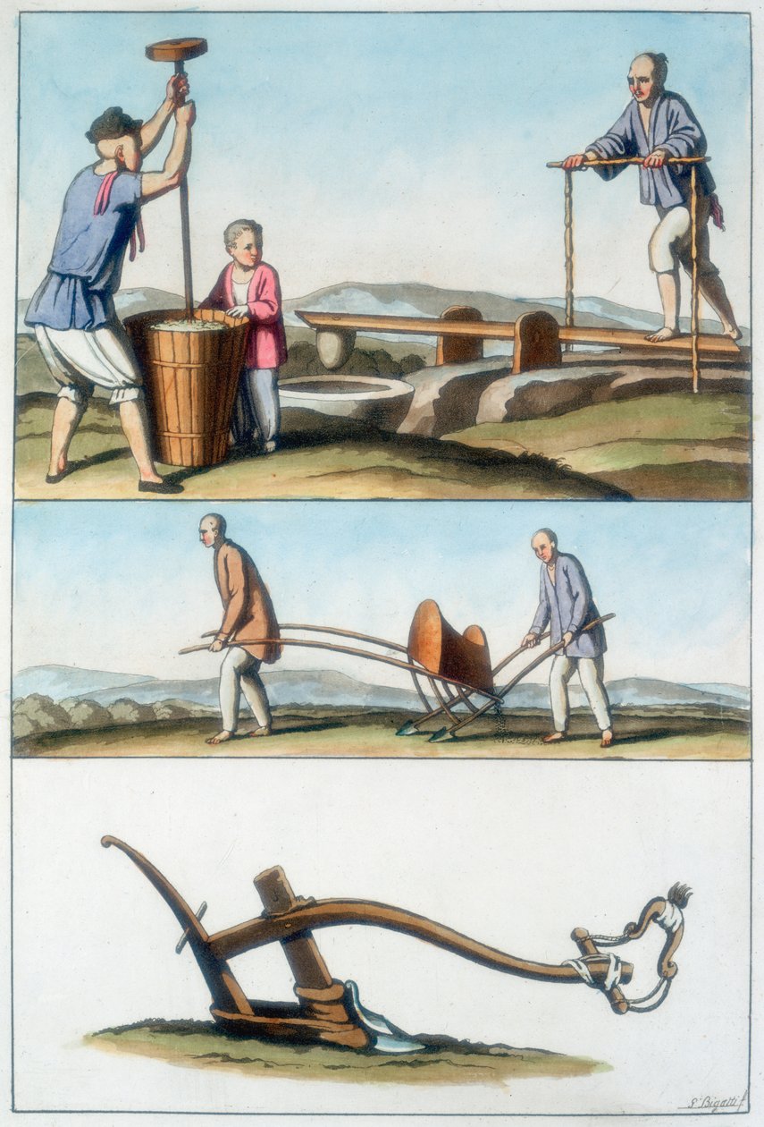 Chinese Agriculture, 1825-1835 by Unbekannt