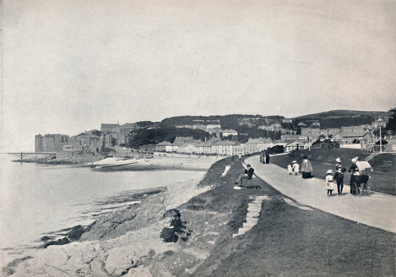 Clevedon - The Green Beach, 1895 by Unbekannt