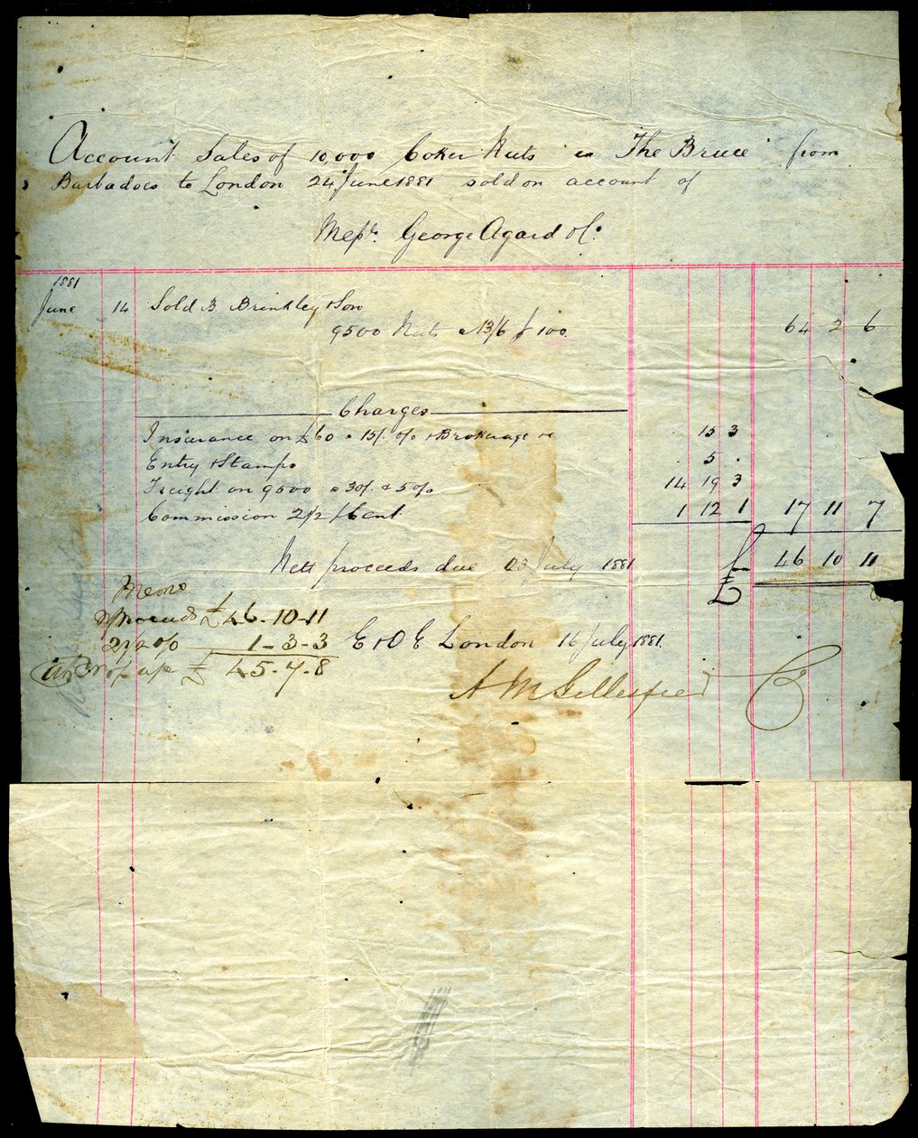Coconut sales receipt, Barbados to London by Unbekannt