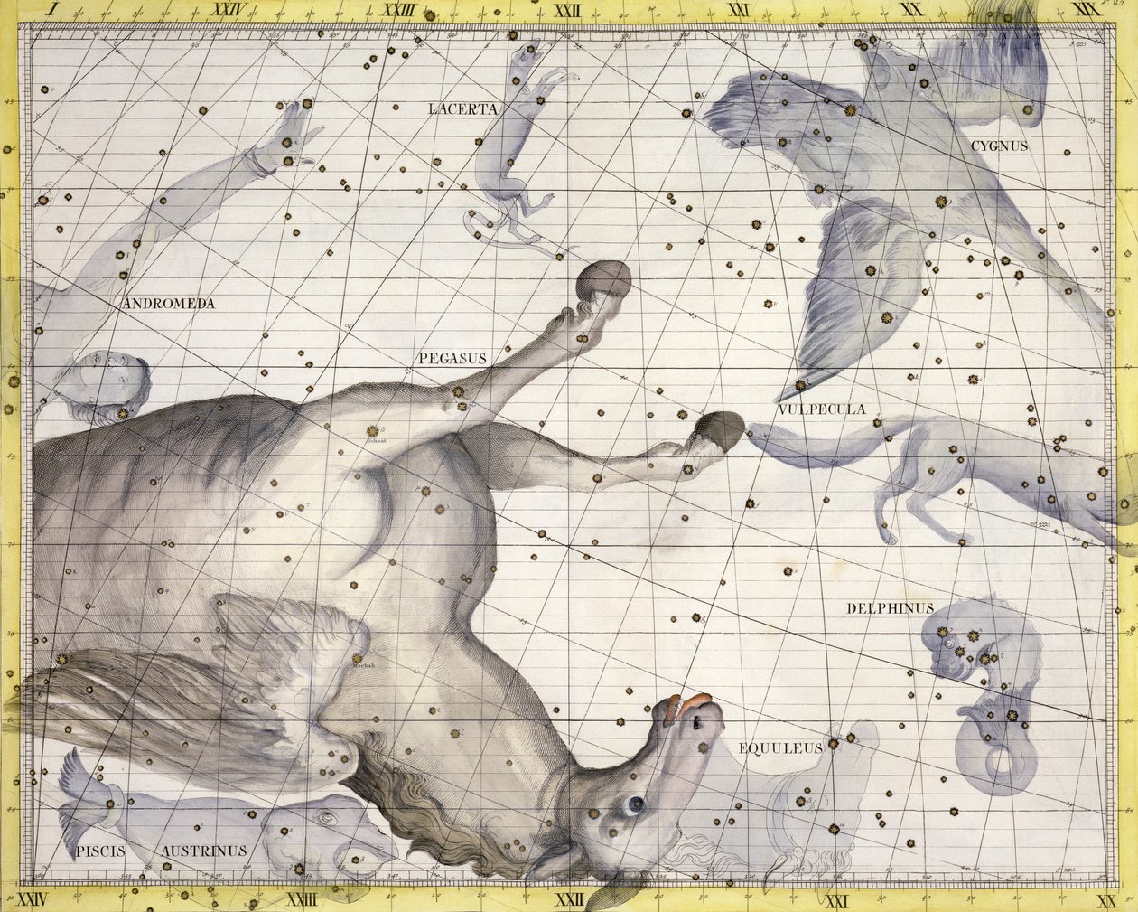 Constellation of Pegasus, 1729 by Unbekannt