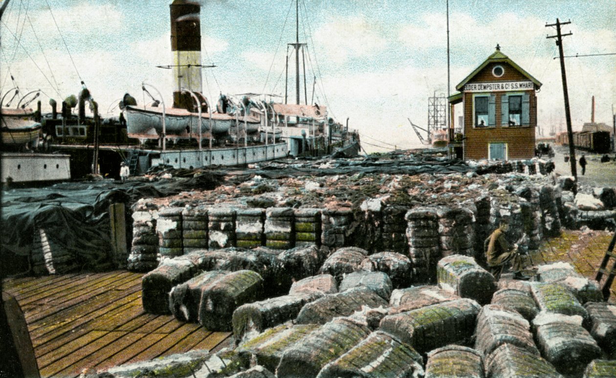 Cotton Wharves, New Orleans, Louisiana, USA by Unbekannt