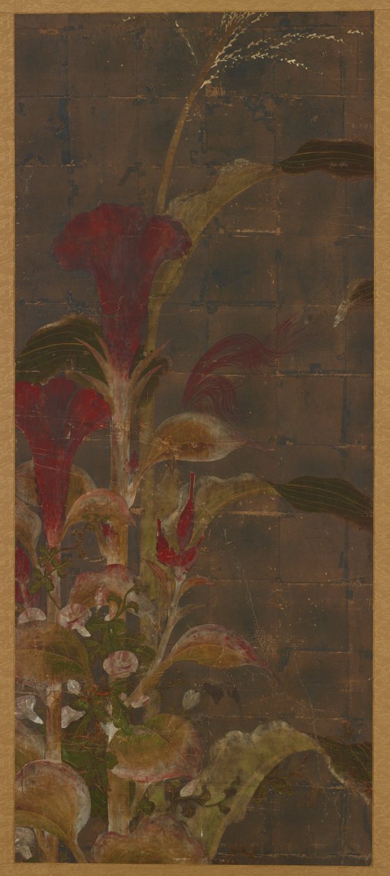 Coxcombs, Maize and Morning-Glories by Unbekannt