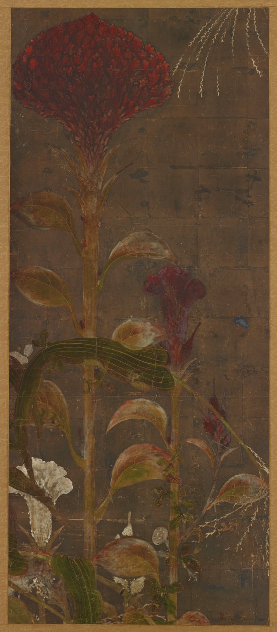 Coxcombs, Maize and Morning-Glories by Unbekannt