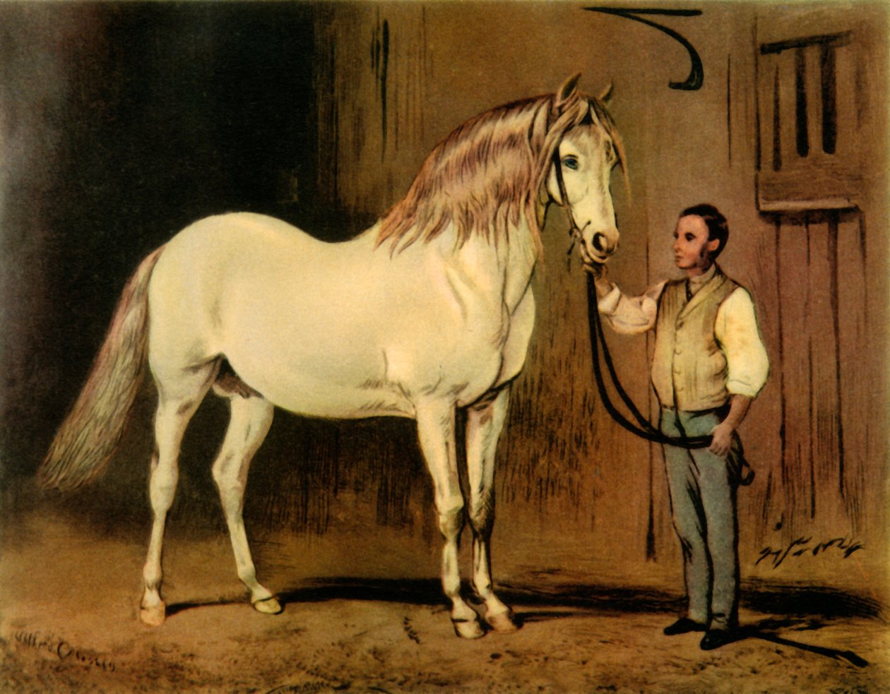 Cream State Carriage Horse of Queen Victoria