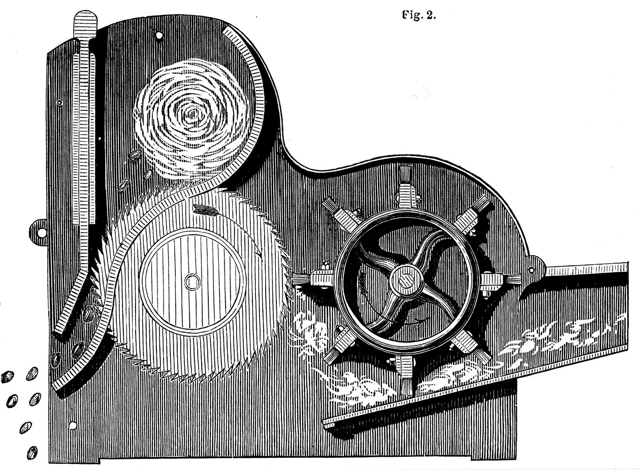 Cross-Section of Eli Whitney