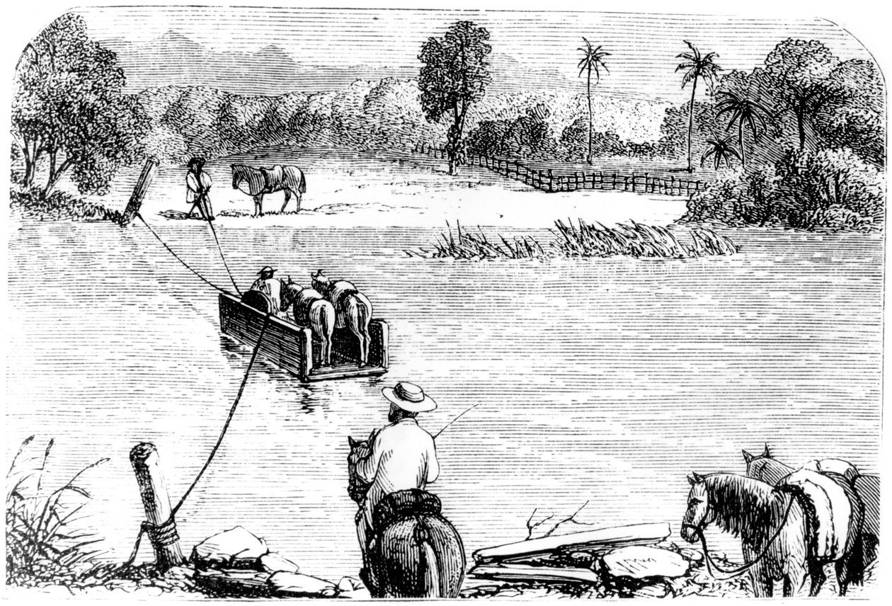 Crossing the Isabella, Santo Domingo, 1873 by Unbekannt