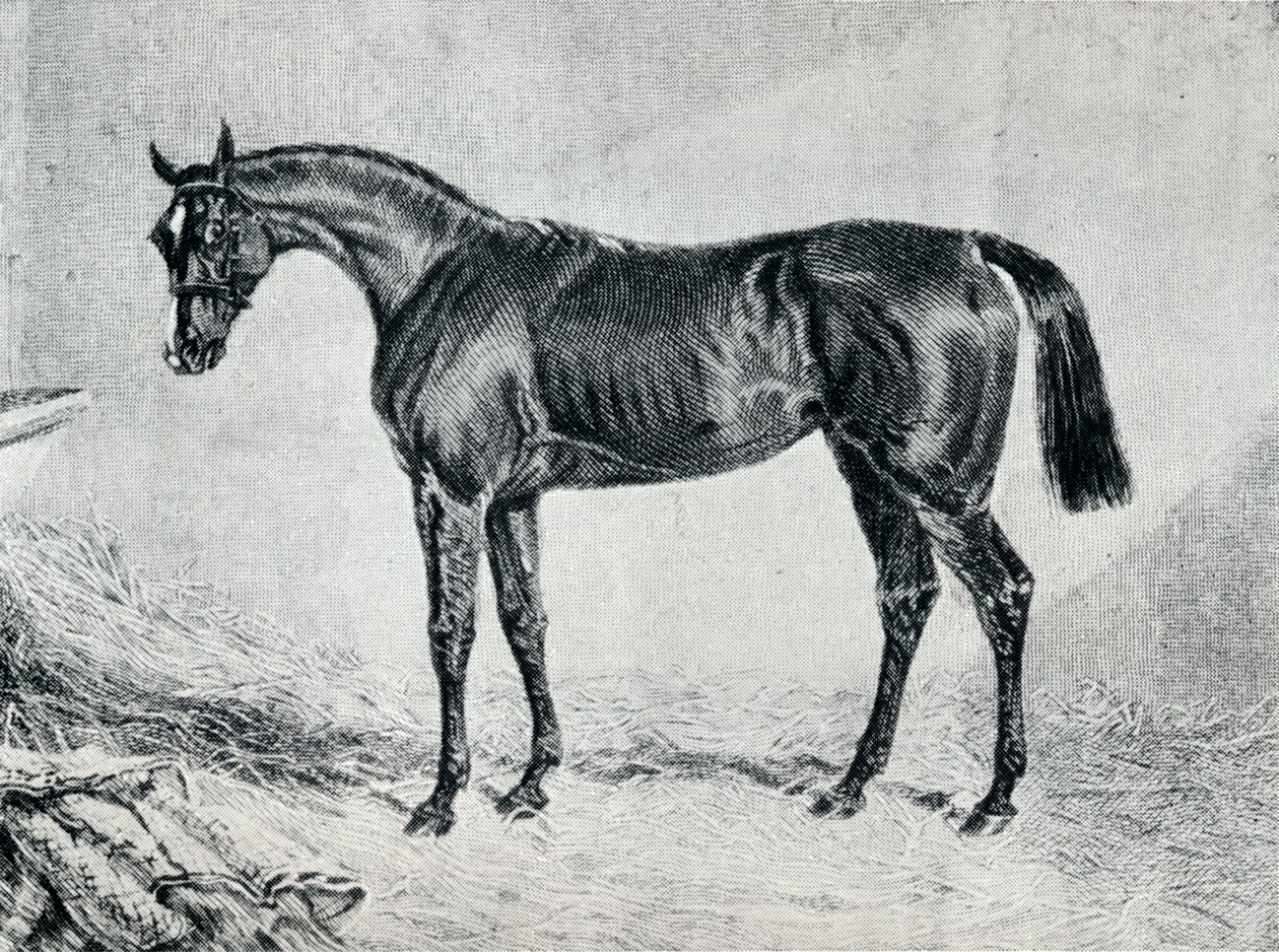 Cyprian, 19th century by Unbekannt