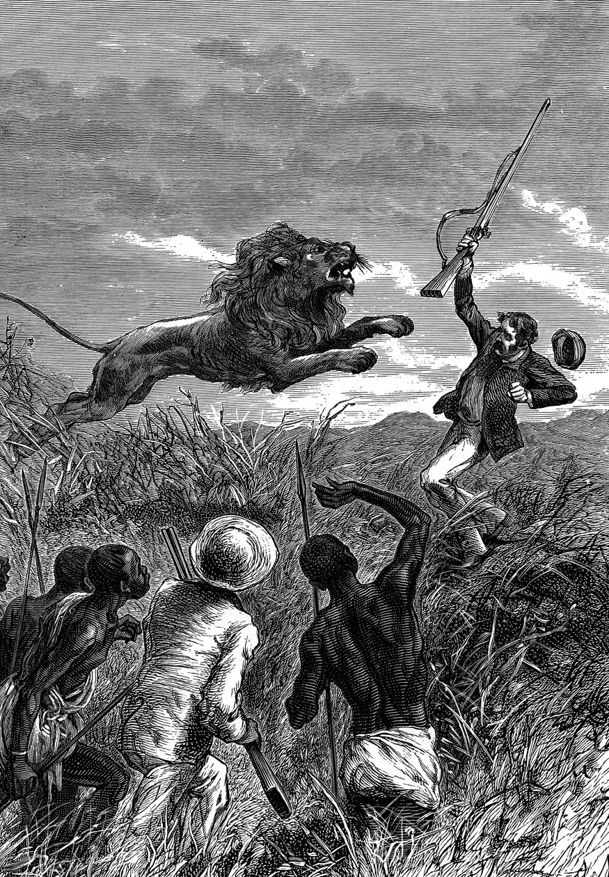 David Livingstone, Scottish missionary and African explorer, being charged by a lion, c1860 by Unbekannt