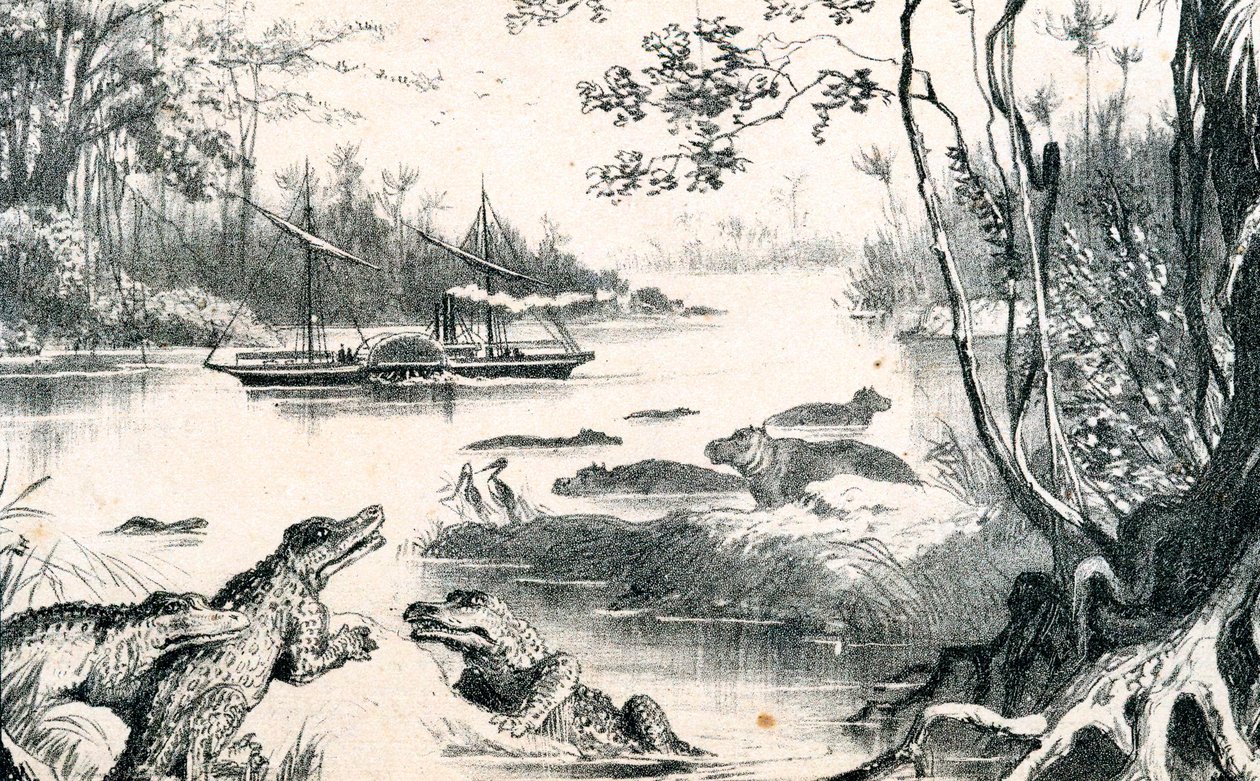 David Livingstone Navigating the Zambezi, Africa by Unbekannt
