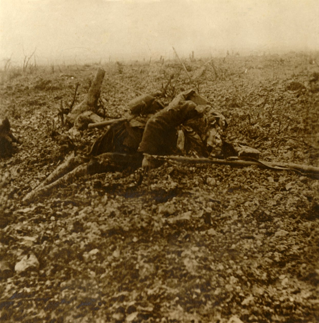 Dead soldier on Hill 304, after the Battle of Verdun, northern France by Unbekannt