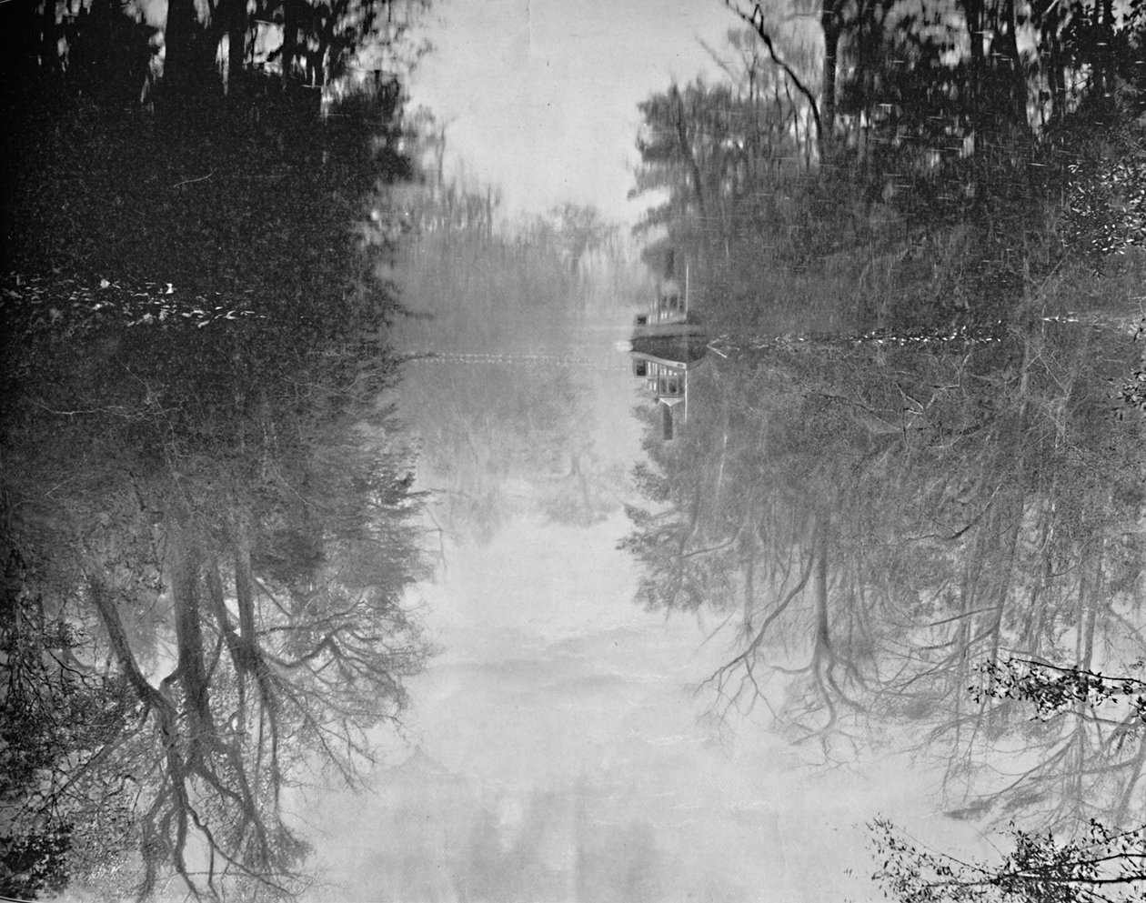 Deep Creek, Florida, c1897 by Unbekannt