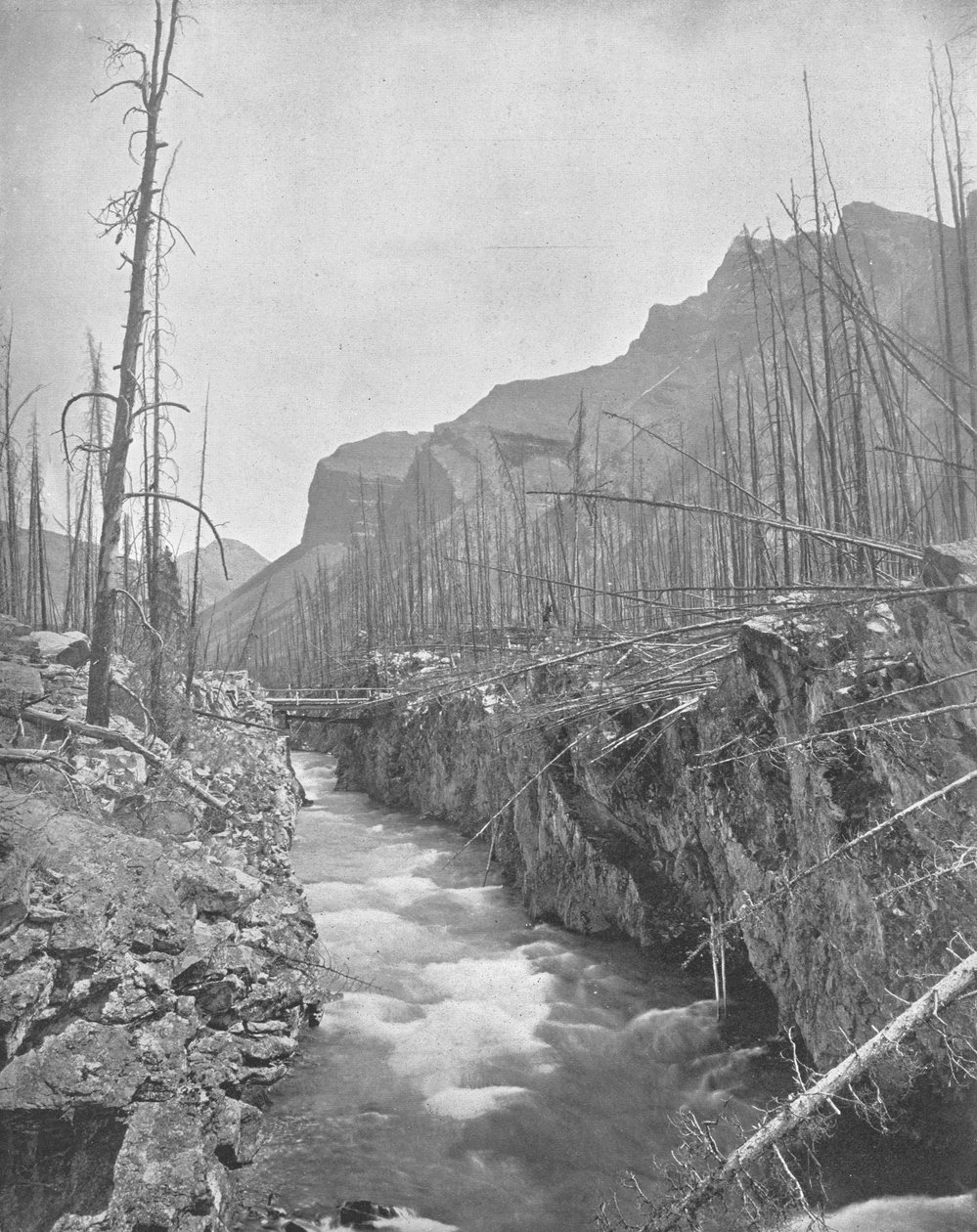 Devils Canyon, Banff, North West Territories, Canada by Unbekannt