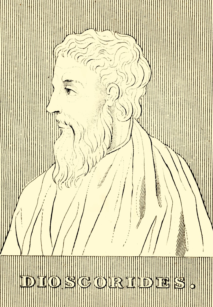 Dioscorides, c40-90 AD by Unbekannt