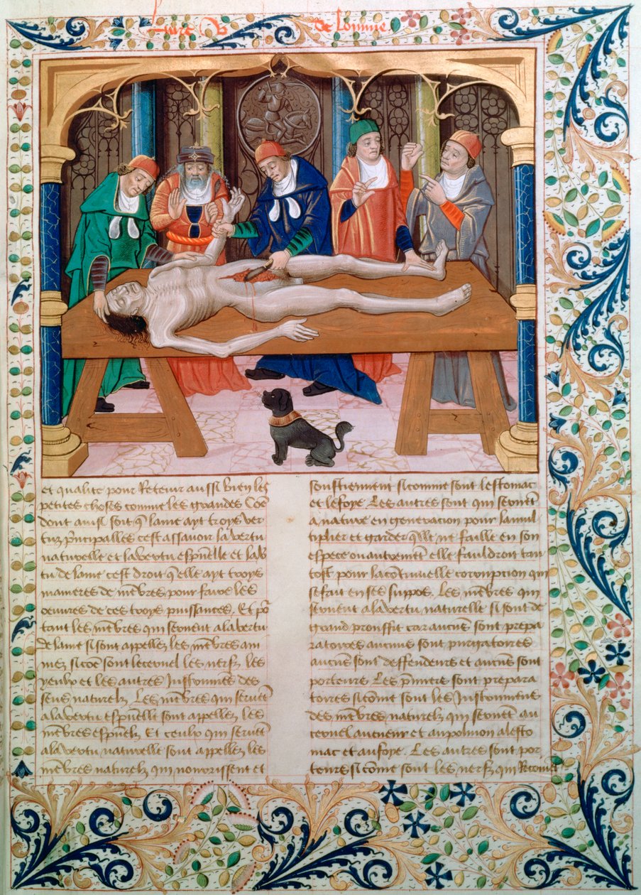 Dissection by Unbekannt