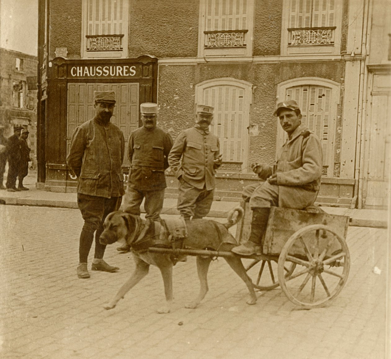 Dog-cart, France by Unbekannt
