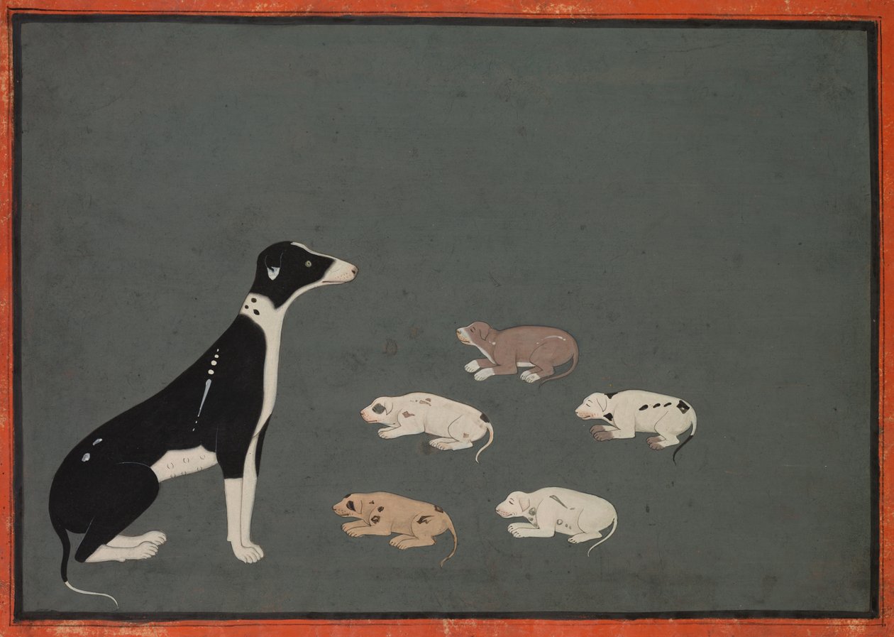 Dog with Pups by Unbekannt