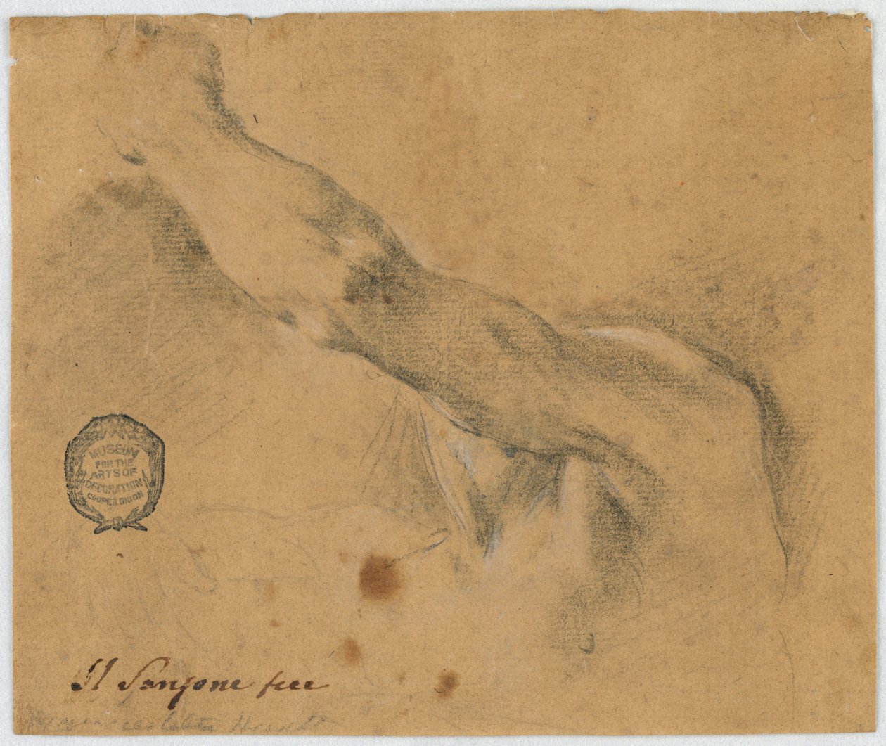 Study - The Left Arm and the Neighboring Parts of the Body of an Elderly Man by Unbekannt