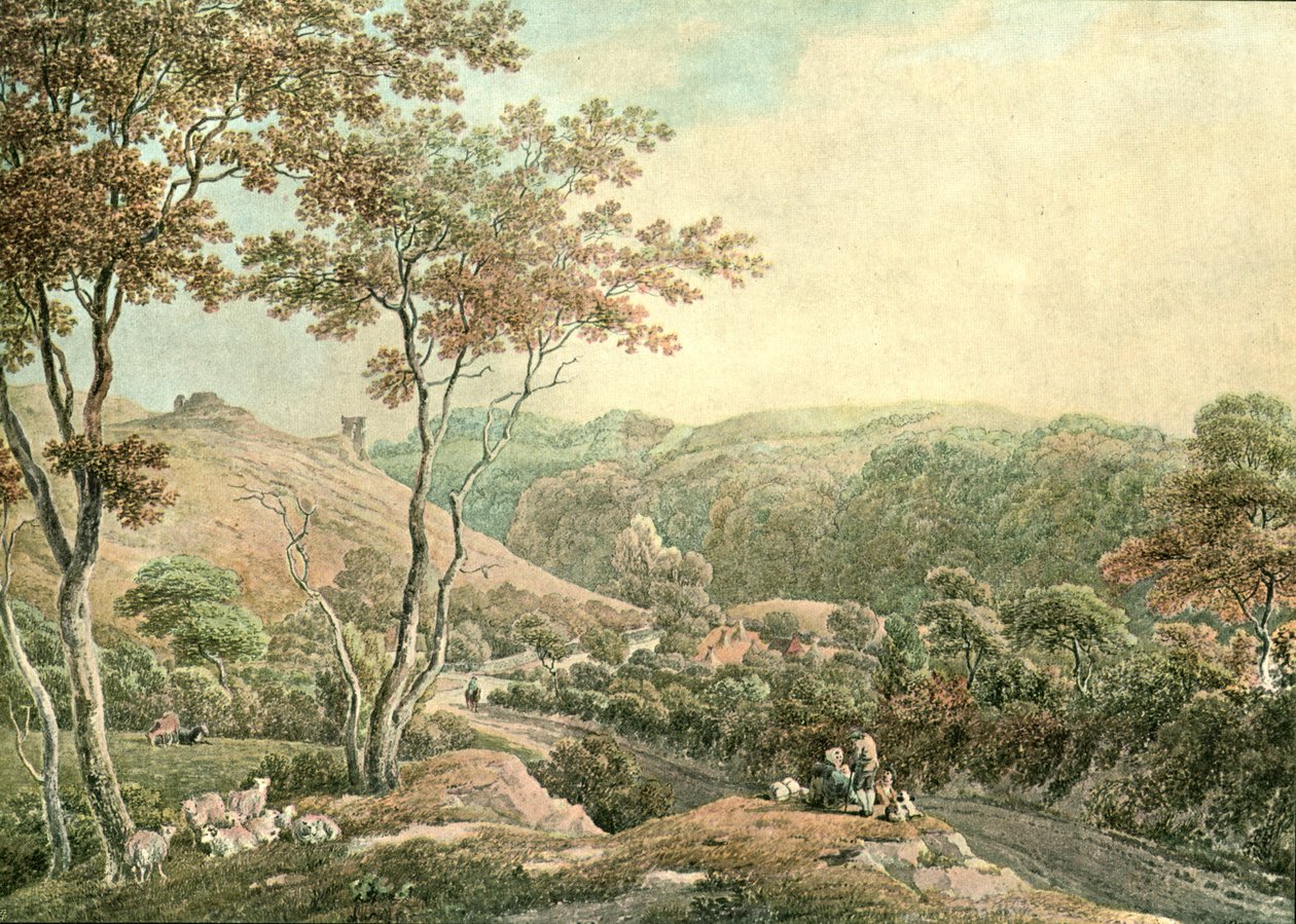 Drusllwyn Castle, Caermarthenshire, c1900 by Unbekannt