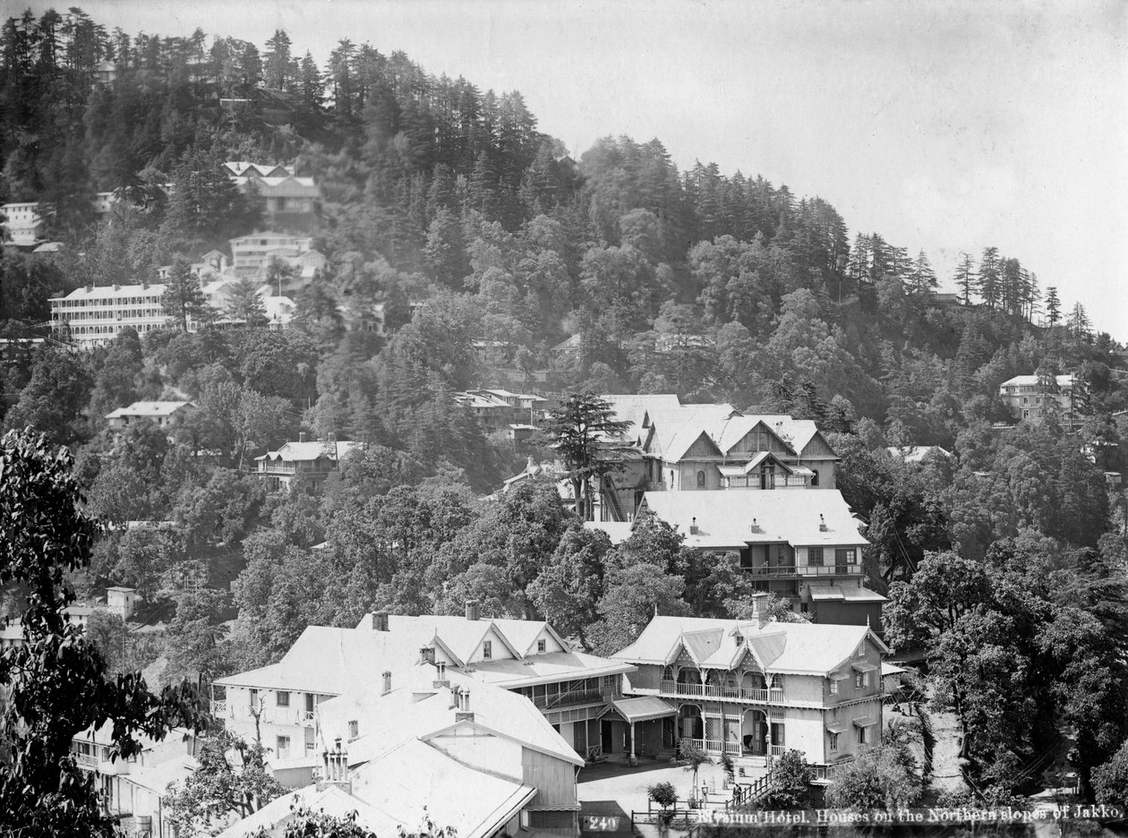 Elysium Hotel, houses on the northern slopes of Jakko, Shimla, India by Unbekannt
