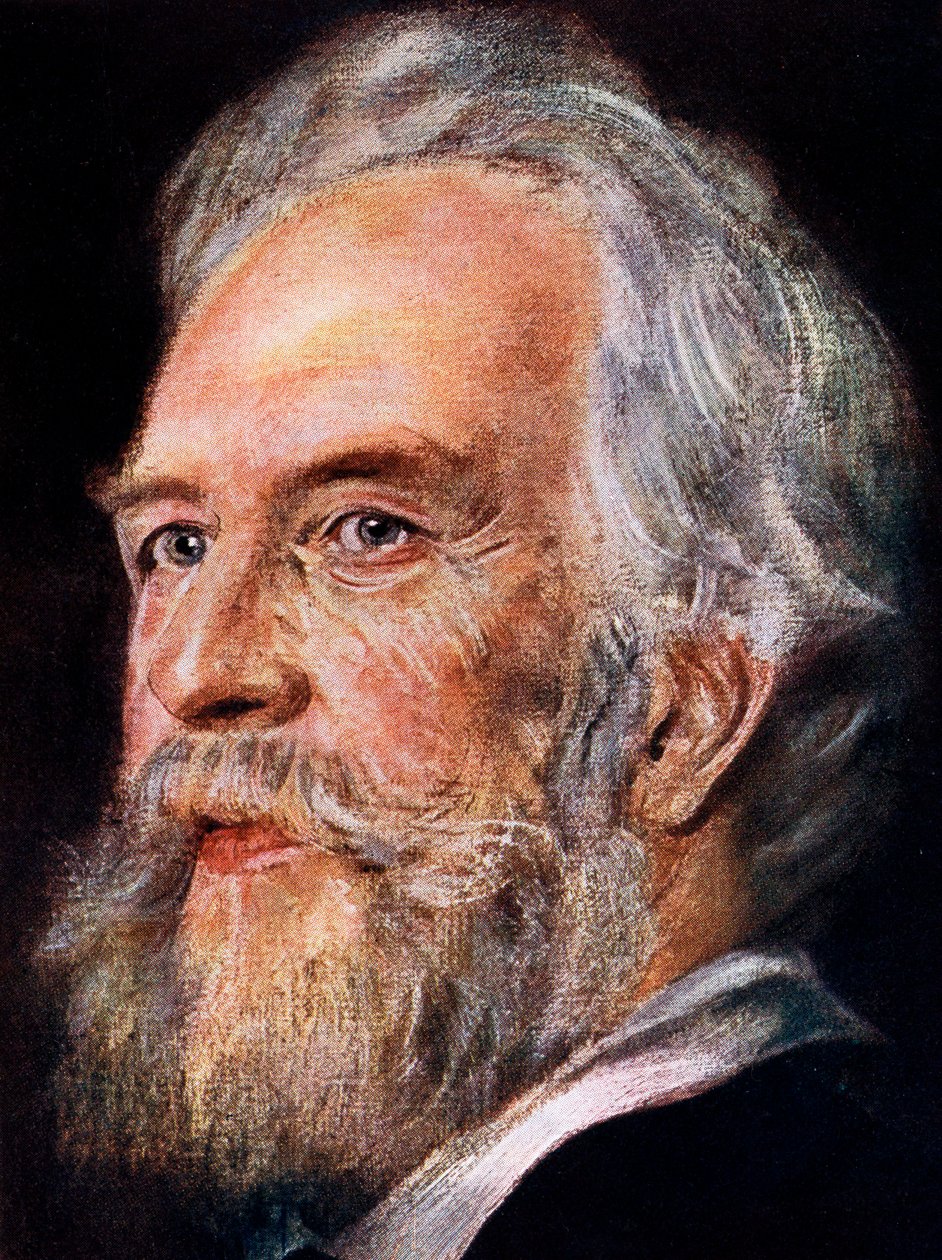 Ernst Haeckel, German Zoologist and Evolutionist by Unbekannt