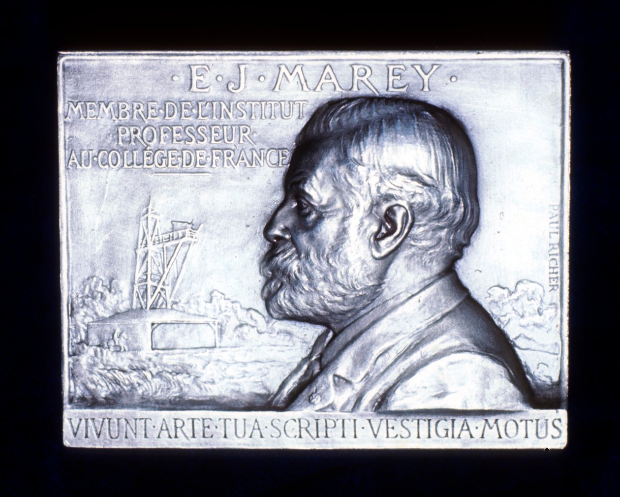 Etienne Jules Marey, French Physiologist by Unbekannt