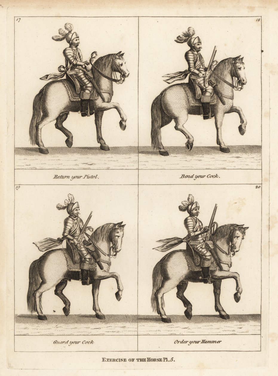 Exercise of the Horse by Unbekannt