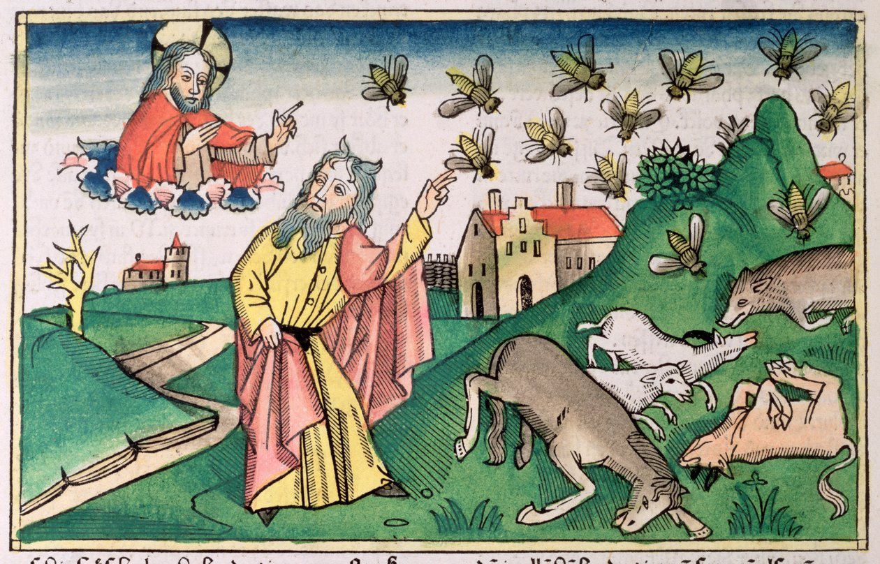 Moses and the Swarm of Flies, One of the Seven Plagues of Egypt by Unbekannt