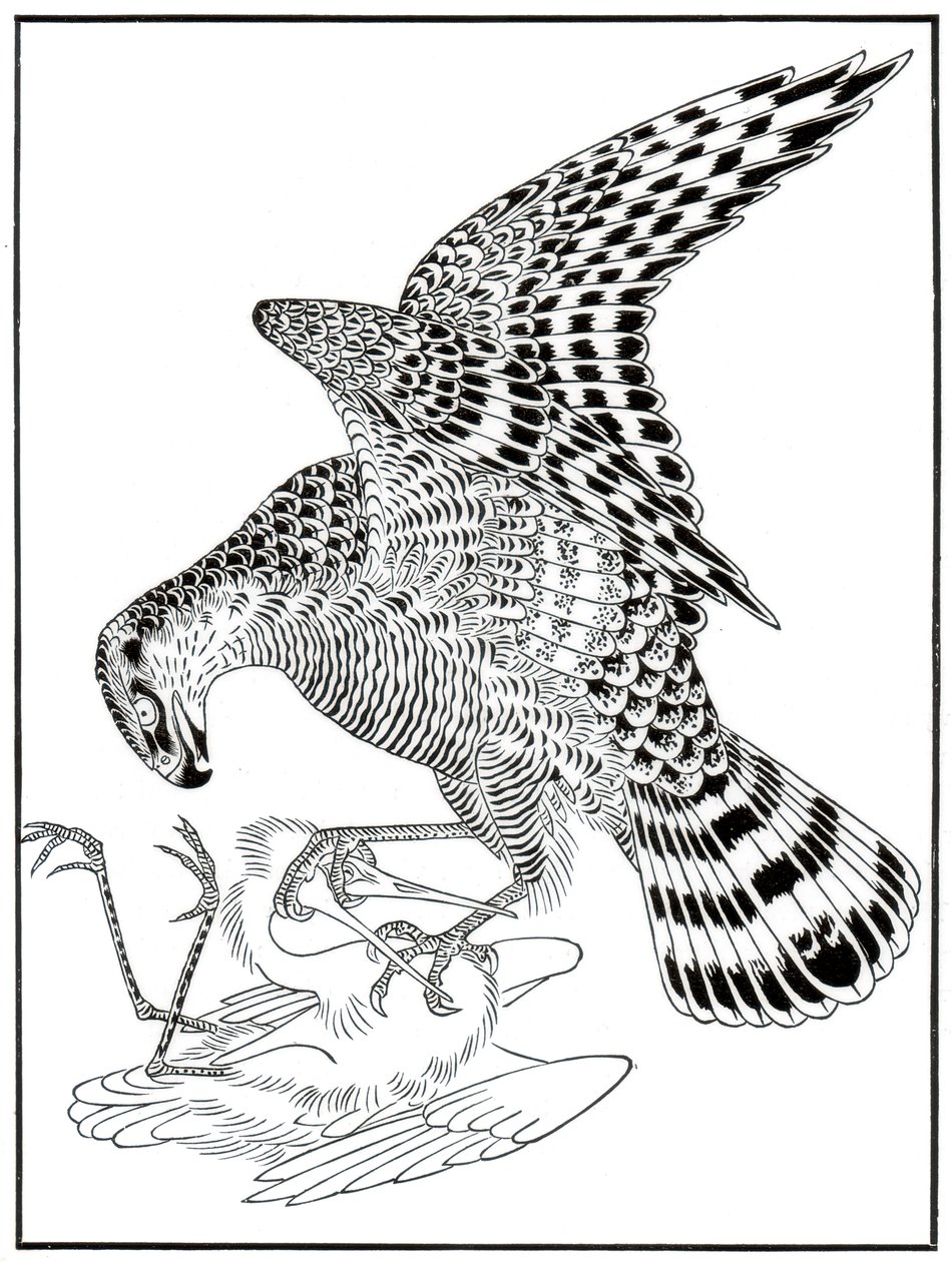 Falcon and egret, 16th century 1886 by Unbekannt