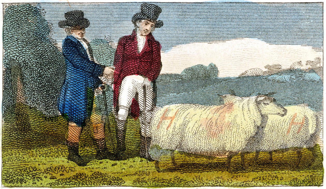 Farmers Discussing Dishley New Leicester Sheep, 1822 by Unbekannt
