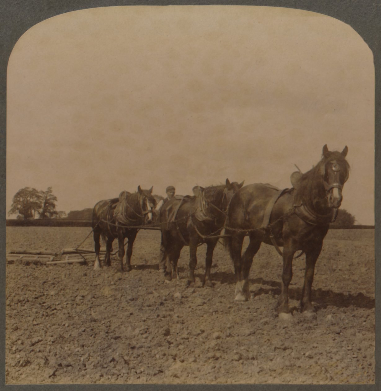 Farming in England - Harrowing the Land by Unbekannt