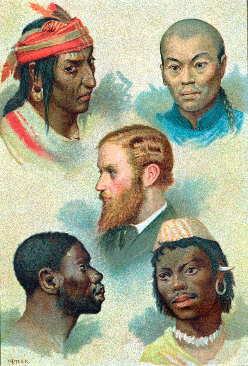 Five types of the human race, late 19th century by Unbekannt