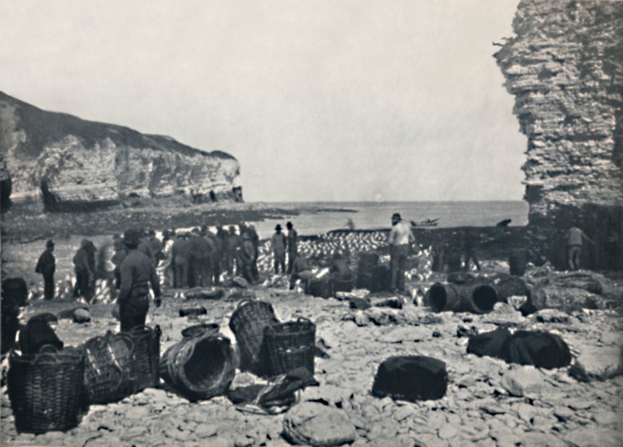 Flamborough - The Fishermen at Work by Unbekannt