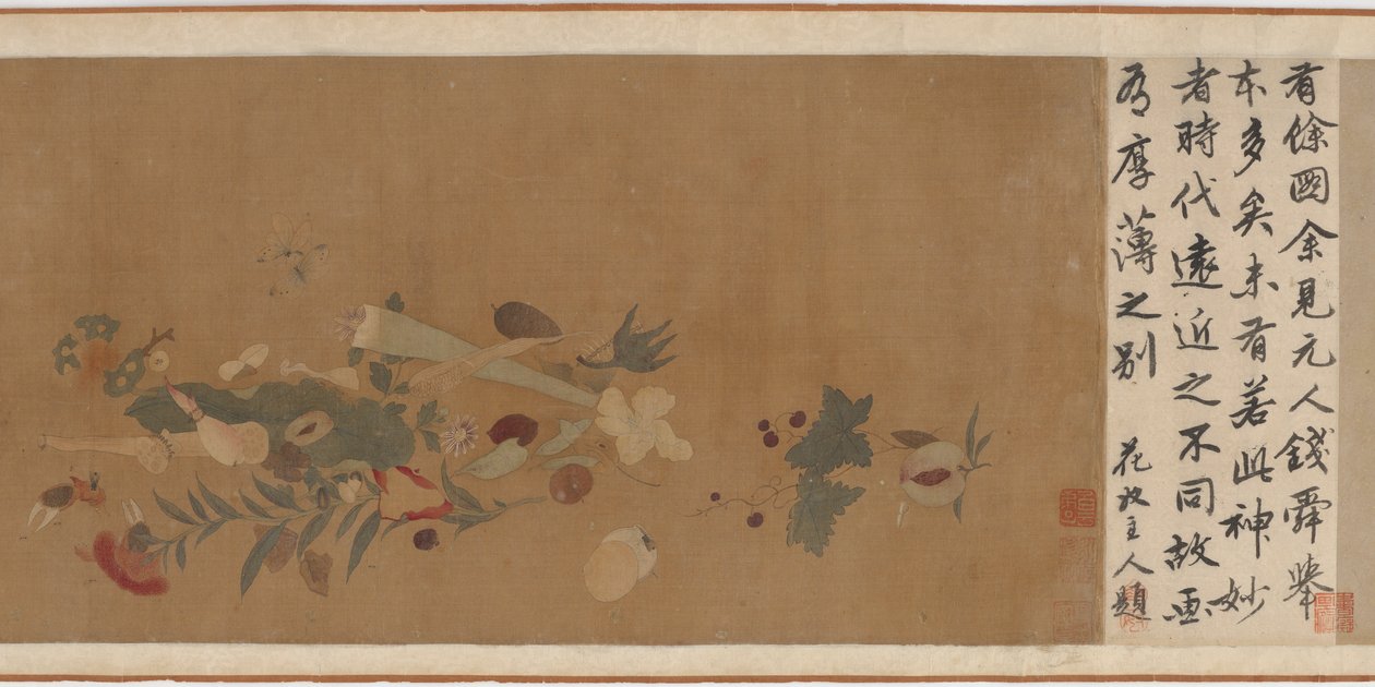 Flowers, fruit, shells, and insects by Unbekannt
